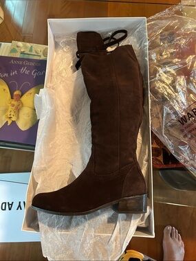 Over-the-Knee Suede Boots in Dark Brown